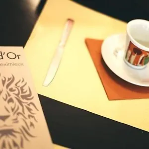 Hotel Restaurant Le Lion D'or